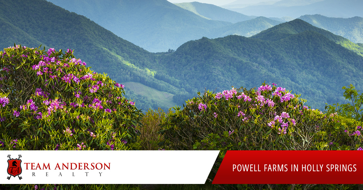 Powell-Farms-in-Holly-Springs-5a6624837987f
