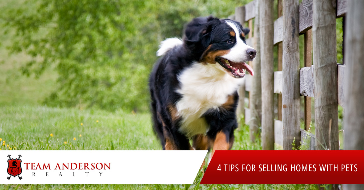 4-Tips-for-Selling-Homes-with-Pets-5a66273fe4bc7